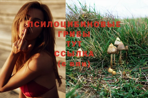 кокаин премиум Алексеевка