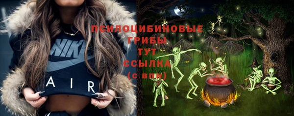 СК Алзамай