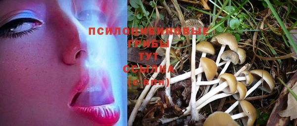 кокаин премиум Алексеевка