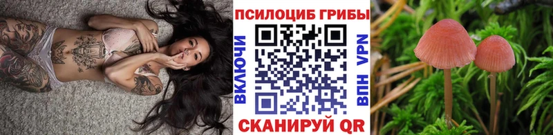 Галлюциногенные грибы Psilocybine cubensis  Бодайбо 